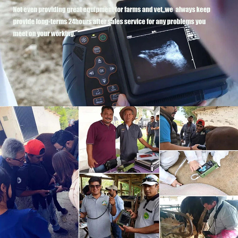 Dawei Portable Veterinary Ultrasound Scanner For Livestock Pregnancy