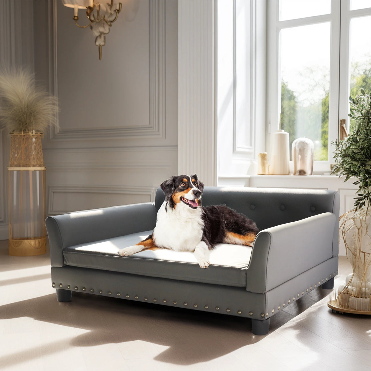 BINGOPAW Elevated Rectangle Dog Bed With Durable Modern Sofa Design