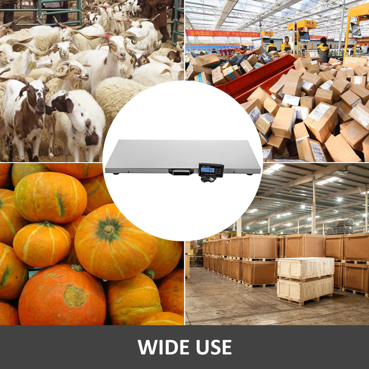 Digital Stainless Steel Livestock Scale For Pet And Postal Shipping