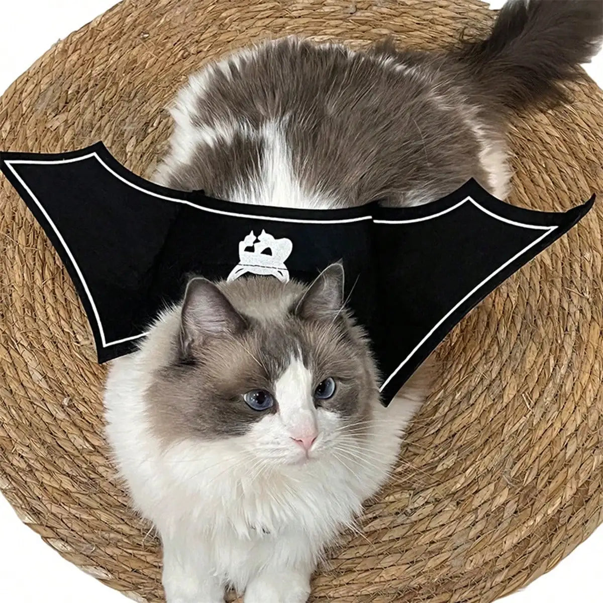 Halloween Bat Wings Pet Costume for Cats and Dogs Party Accessory