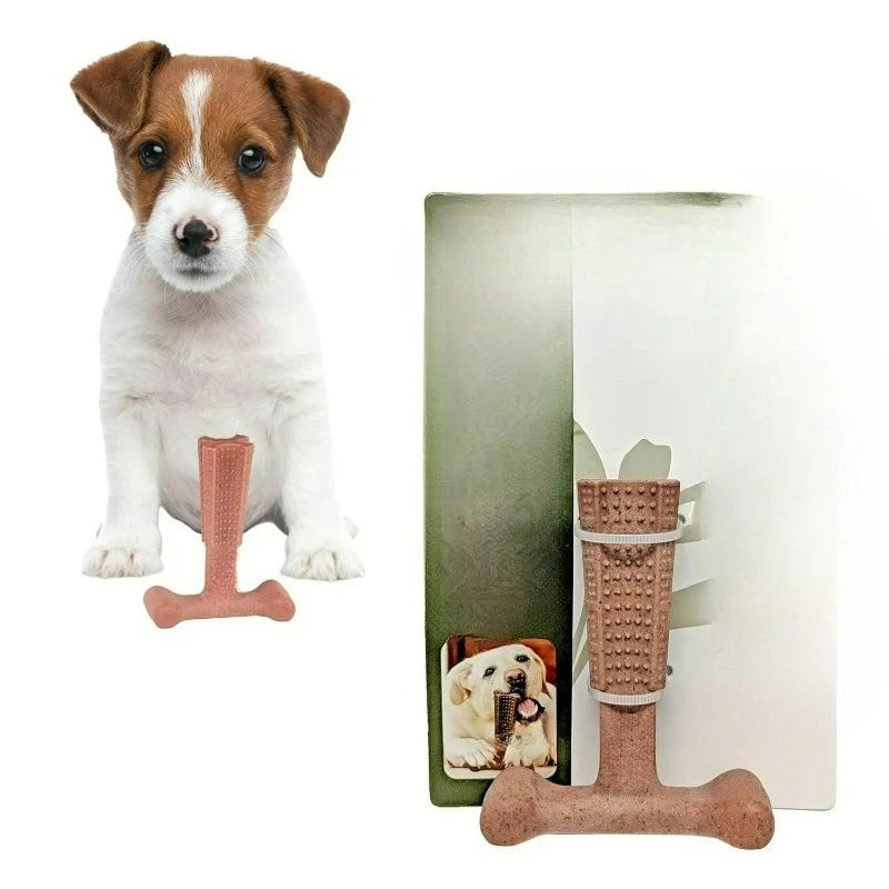 T Bone Nylon Chew Toy for Moderate and Aggressive Chewers