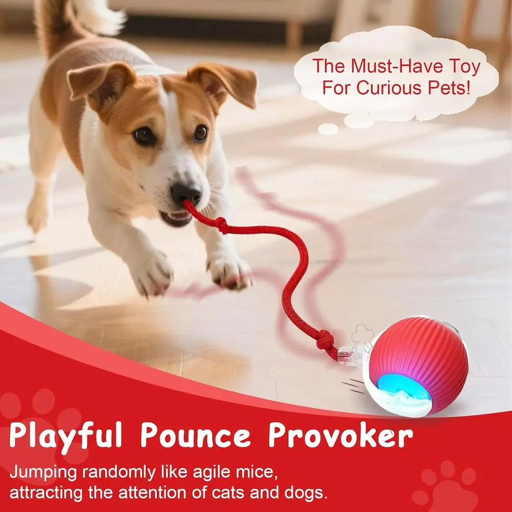 Automatic Rolling Interactive Ball For Indoor Cats And Dogs