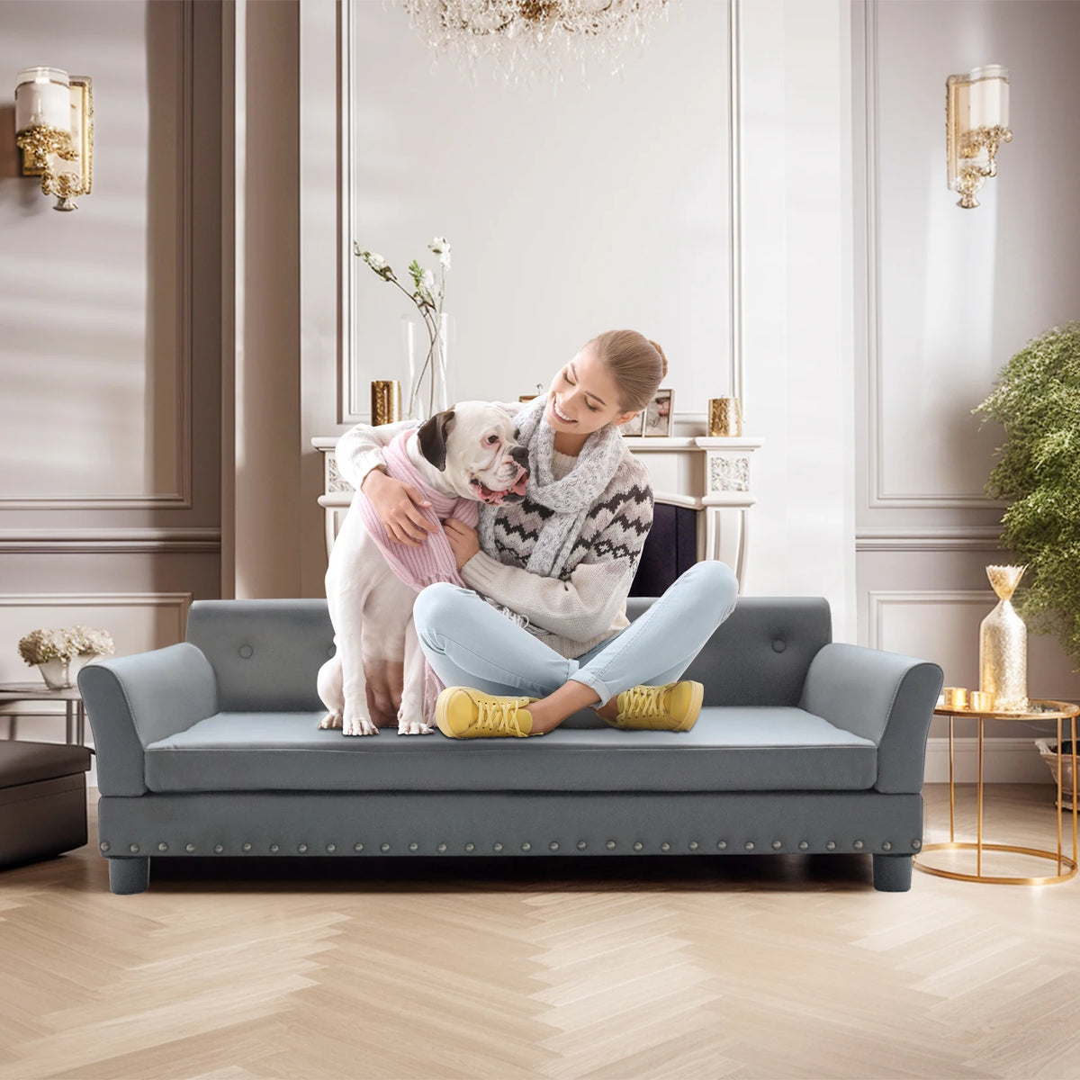 BINGOPAW Elevated Rectangle Dog Bed With Durable Modern Sofa Design