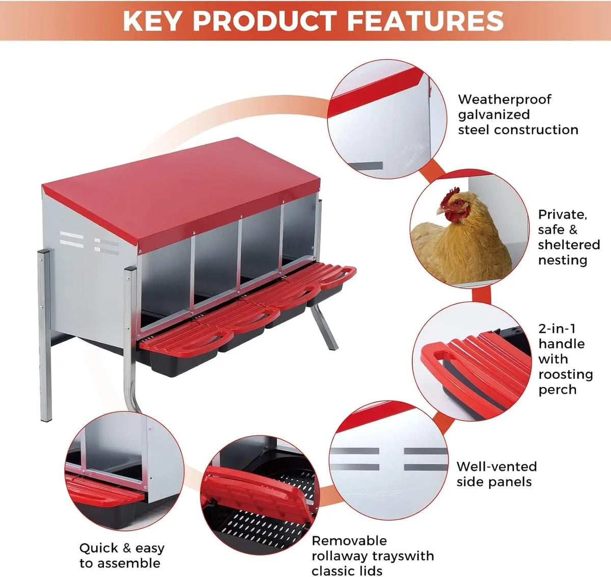 Twister.Ck Multi Compartment Metal Chicken Nesting Box