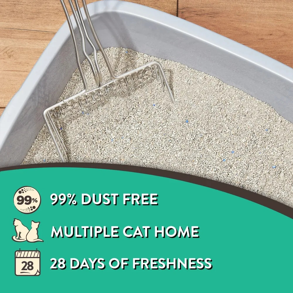 Special Kitty Clumping Clay Cat Litter Superior Odor Protection