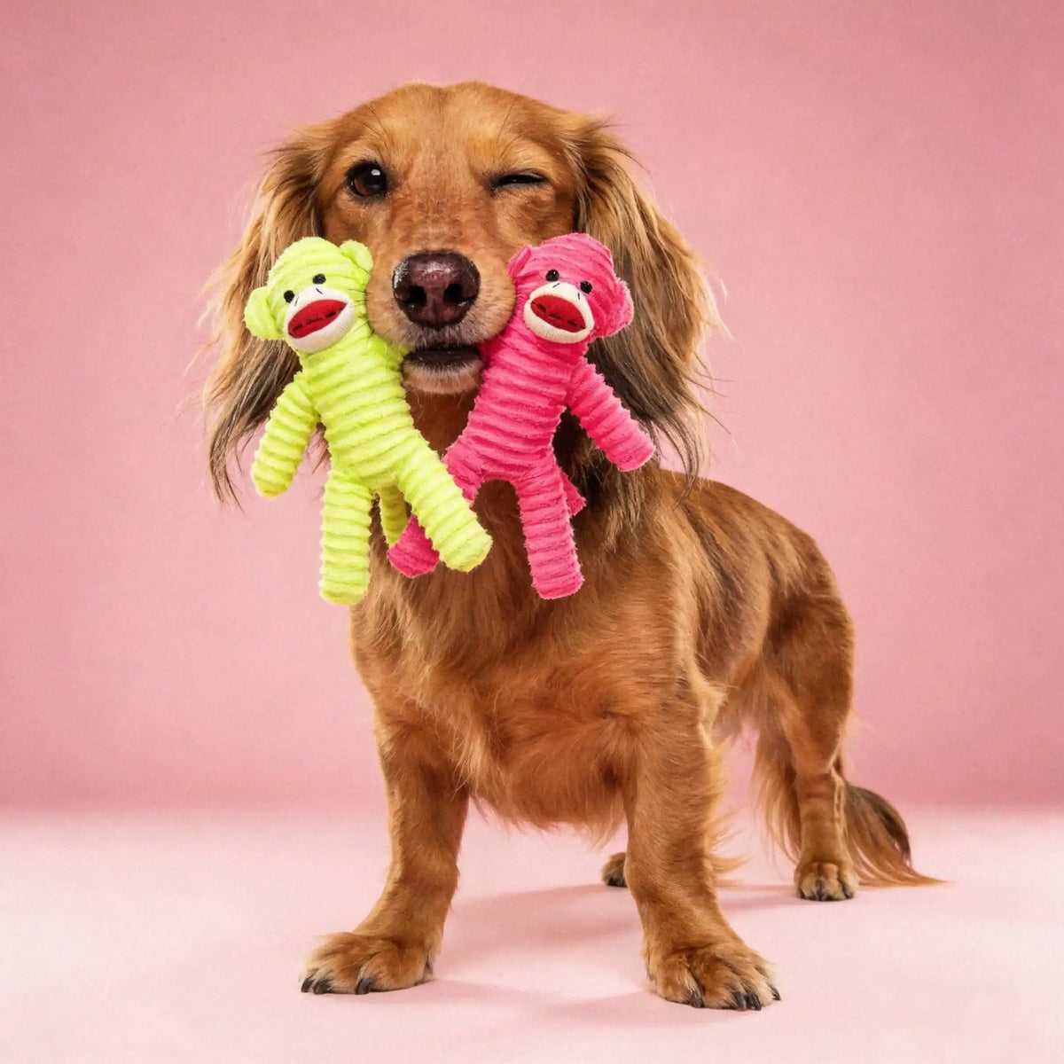 Squeaky Armadillo Plush Dog Chew Toy for Teeth Cleaning Play