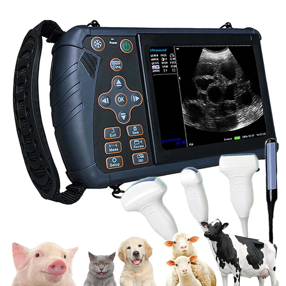 Dawei Handheld Portable Veterinary Ultrasound Scanner