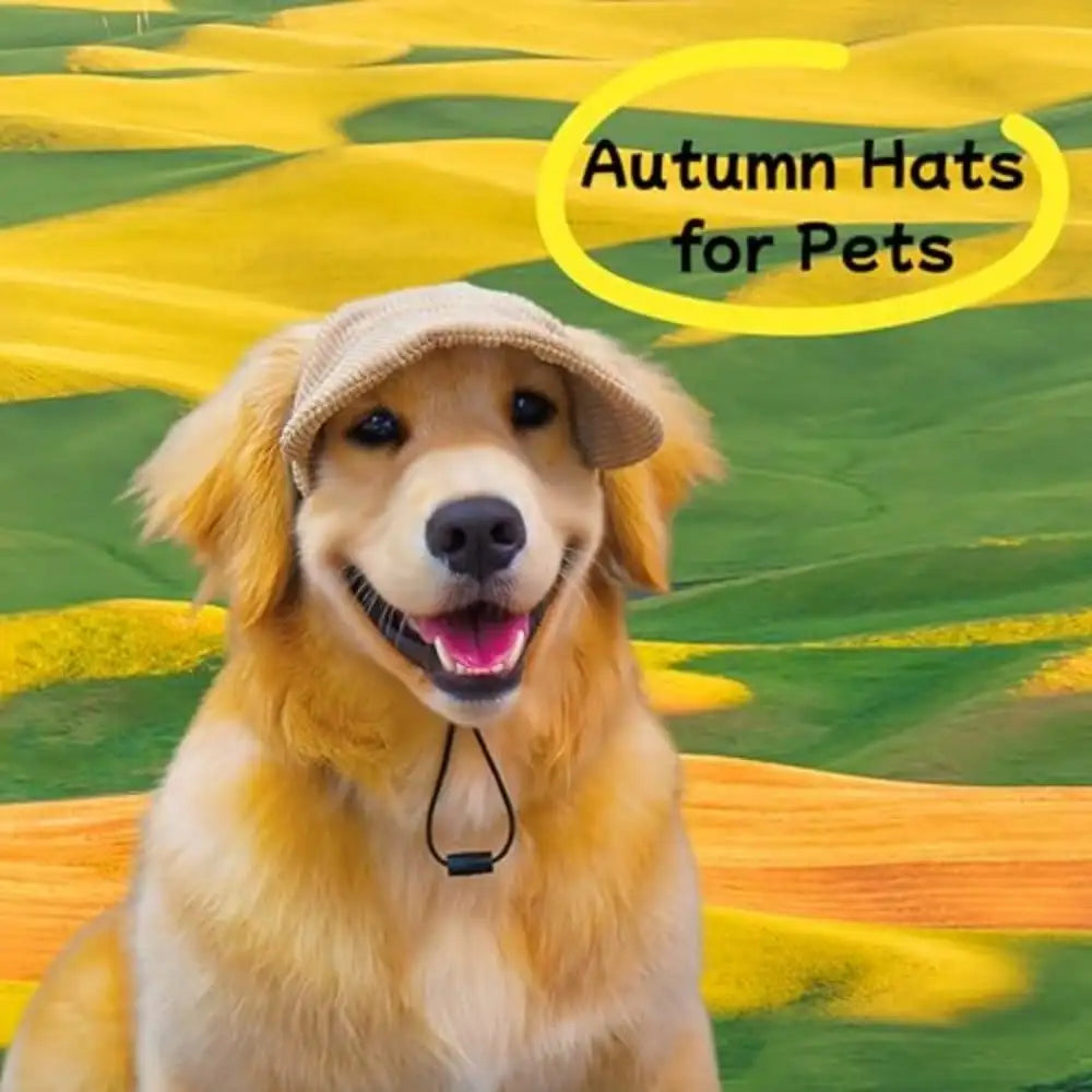 Dogs And Cats Baseball Sun Visor Hat With Ear Holes for Pets