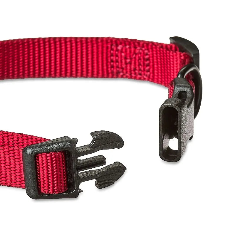 Adjustable Polyester Dog Collar for Everyday Comfort and Reliable Fit