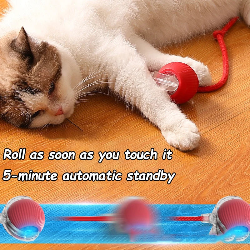 Automatic Interactive Rolling Ball Toy For Cats With Rechargeable Battery