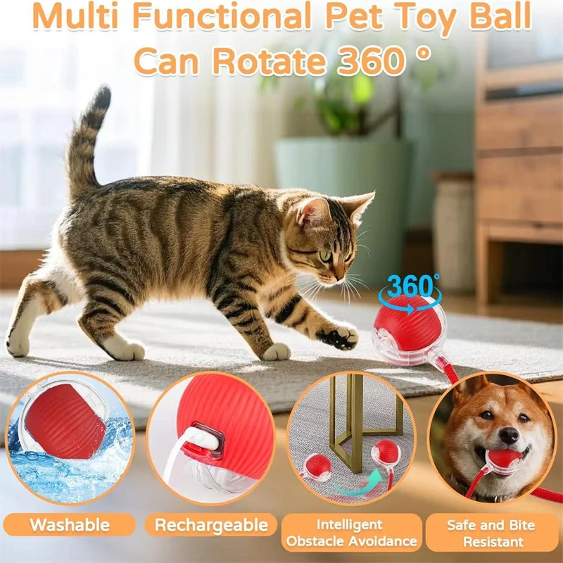 Automatic Interactive Rolling Ball Toy For Cats With Rechargeable Battery