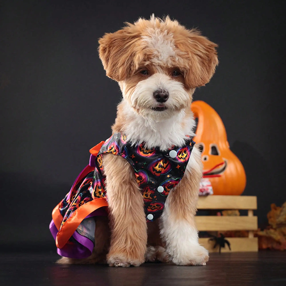 Pet Dog Halloween Pumpkin Skull Print Bowknot Dress