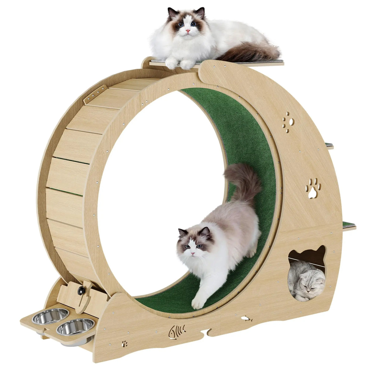 HiMiss Multifunctional Quiet Cat Exercise Wheel With Scratch Post