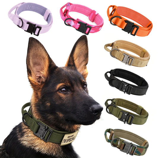 Adjustable Nylon Dog Training Collar And Leash Set With Handle