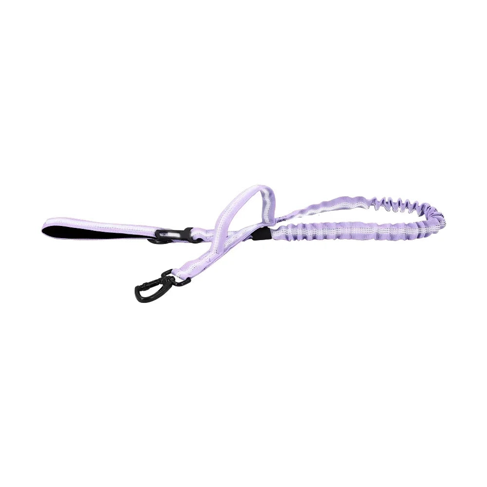 Adjustable Tactical Dog Leash With Dual Handles For Small Dogs