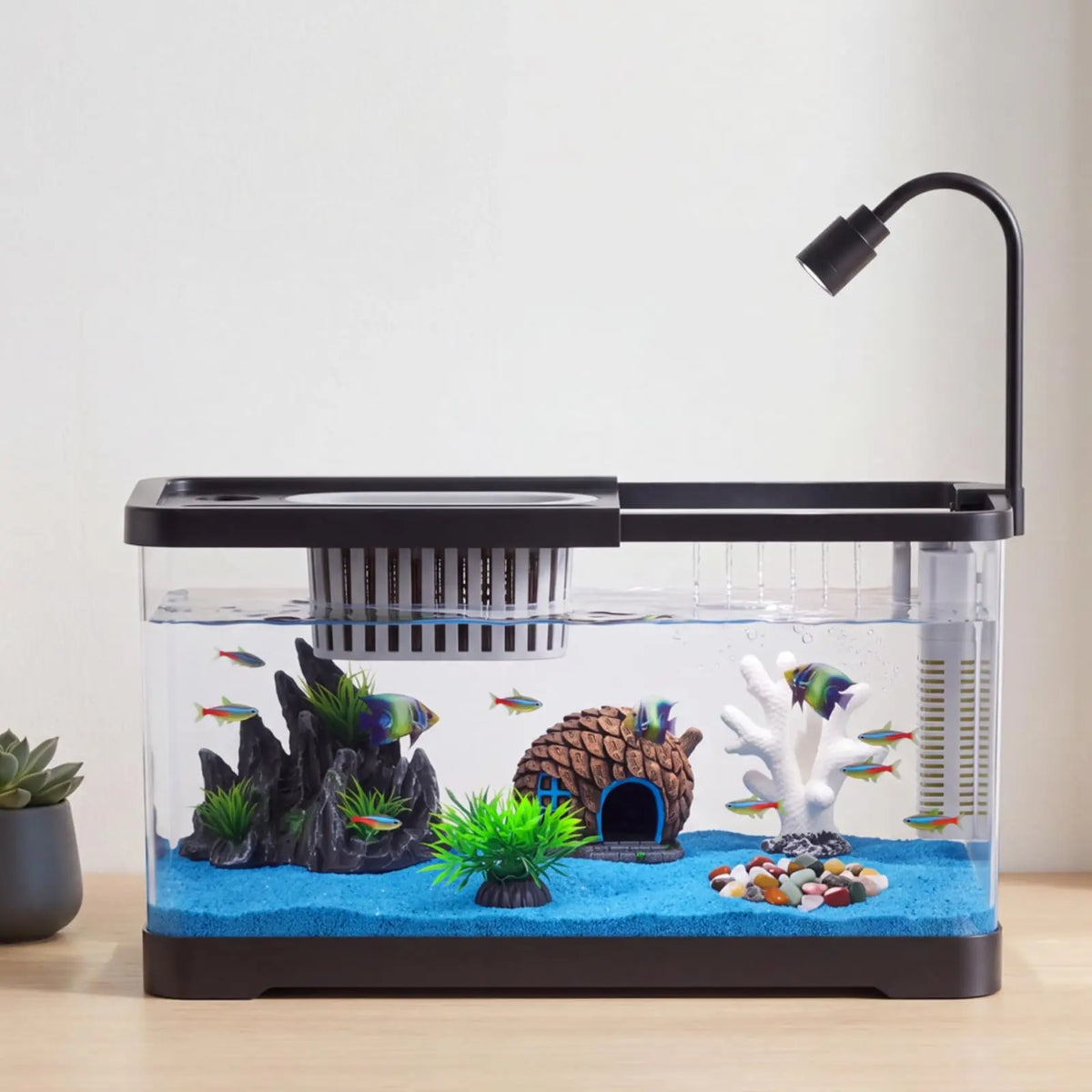 Complete Fish Tank Starter Kit With Filter And Light