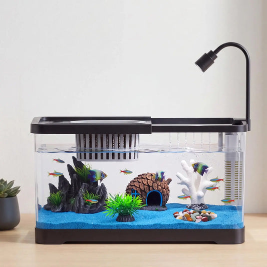 Complete Fish Tank Starter Kit With Filter And Light