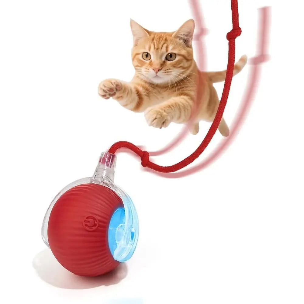 Upgraded Rechargeable Automatic Rolling Interactive Dog And Cat Toy Ball