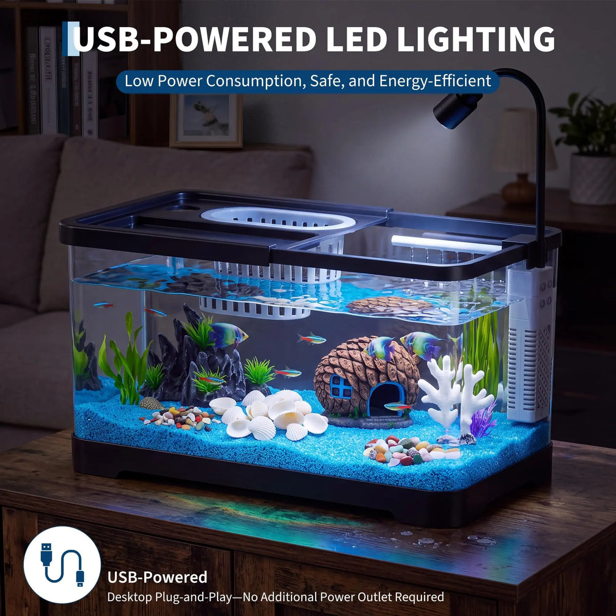 Complete Fish Tank Starter Kit With Filter And Light