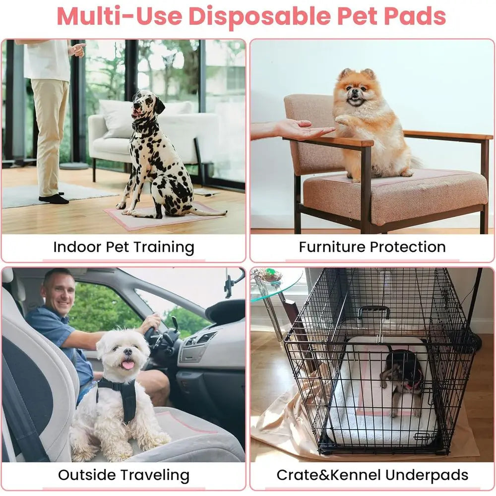 Disposable Puppy Training Pads, Ultra Absorbent Leak Proof
