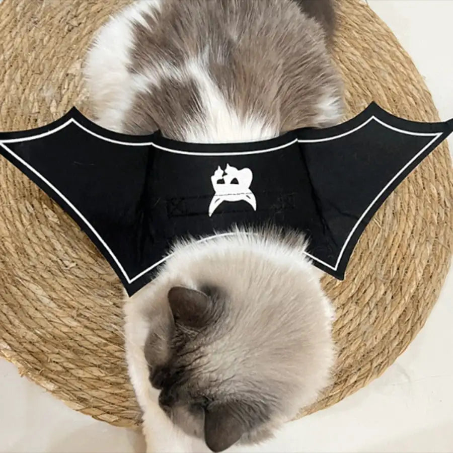Halloween Bat Wings Pet Costume for Cats and Dogs Party Accessory