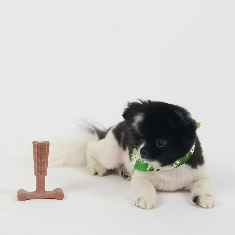 T Bone Nylon Chew Toy for Moderate and Aggressive Chewers