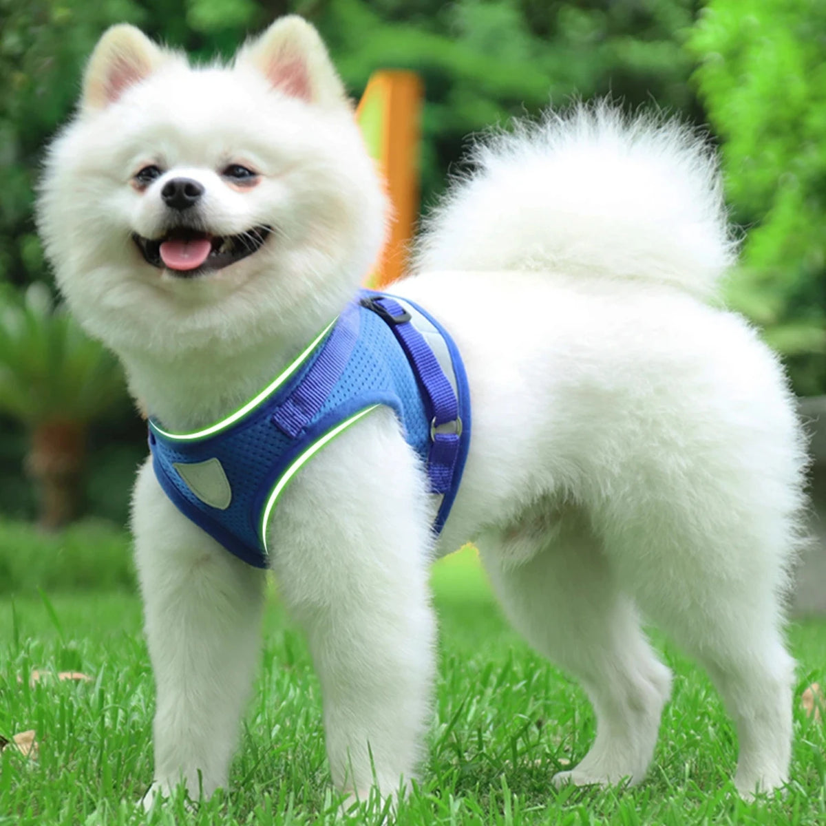 Reflective Safety Dog Cat Harness Vest With Adjustable Leash