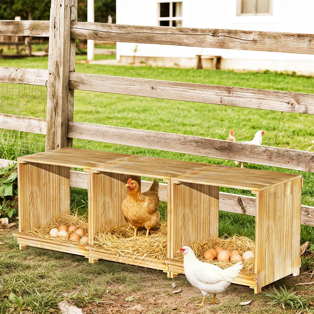Bingopaw 3 Compartment Pine Wood Chicken Nesting Box