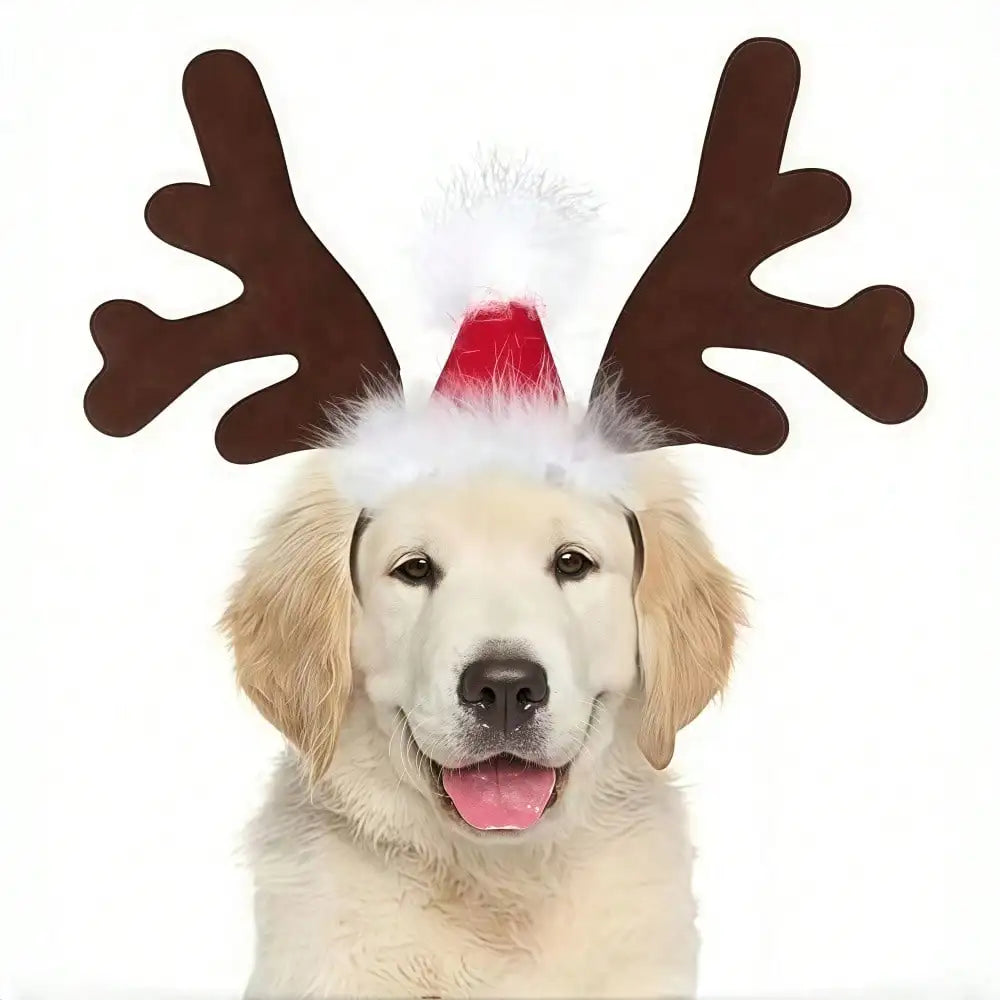 Halloween Ghost Pet Cape Costume With Reindeer Antler Headband