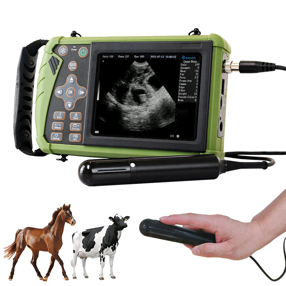 Dawei Portable Veterinary Ultrasound Scanner For Livestock Pregnancy