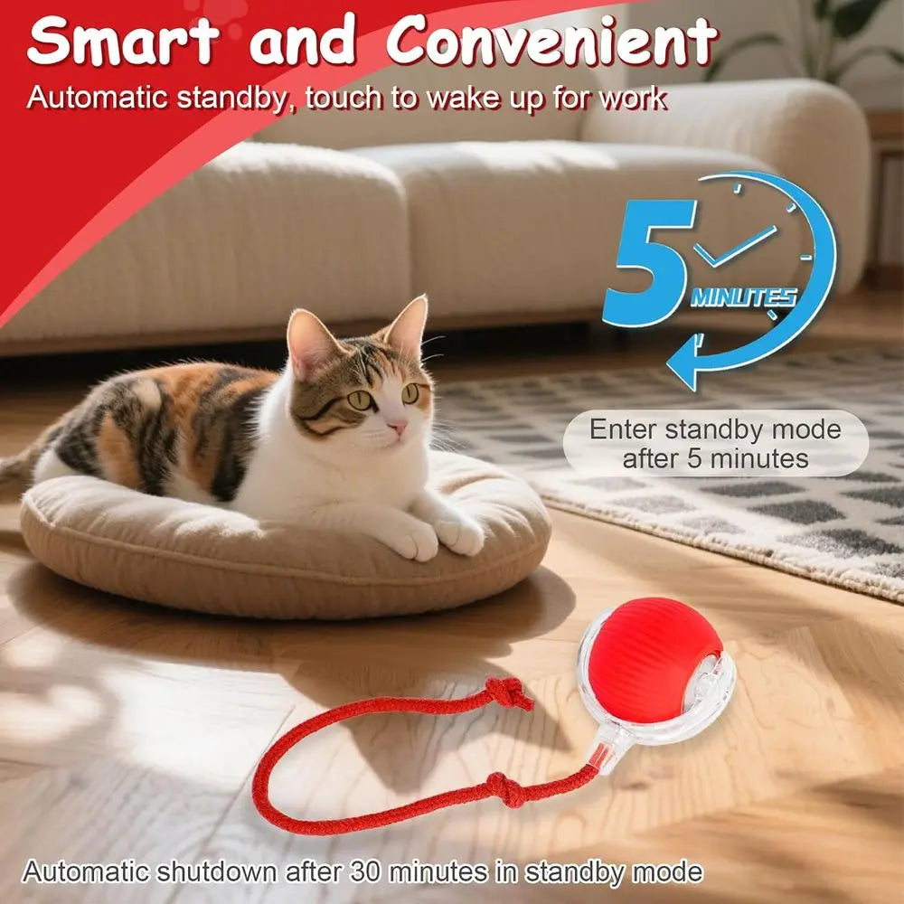 Automatic Rolling Interactive Ball For Indoor Cats And Dogs