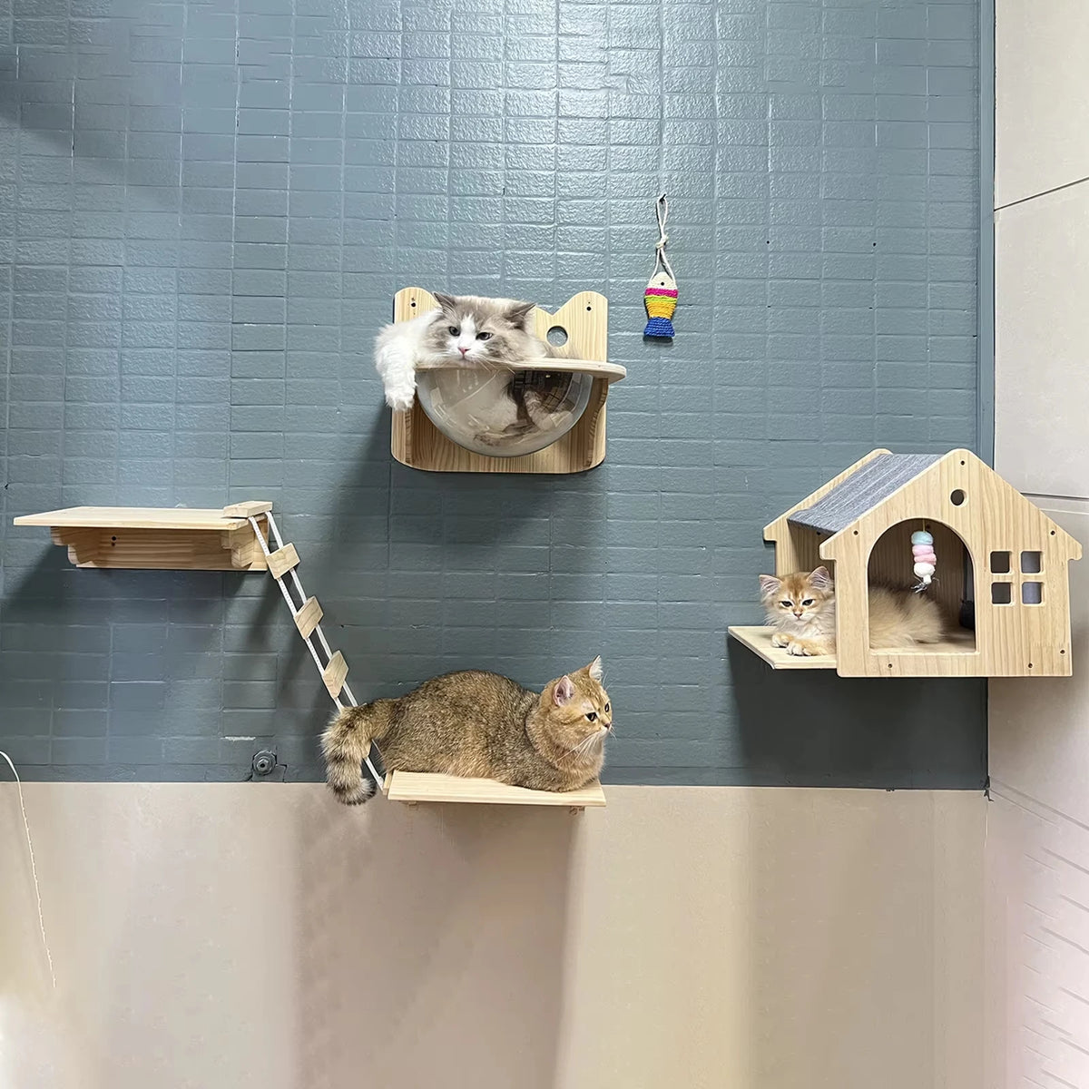 Wood Wall Mounted Cat Condo Villa Climbing Shelf For Cats