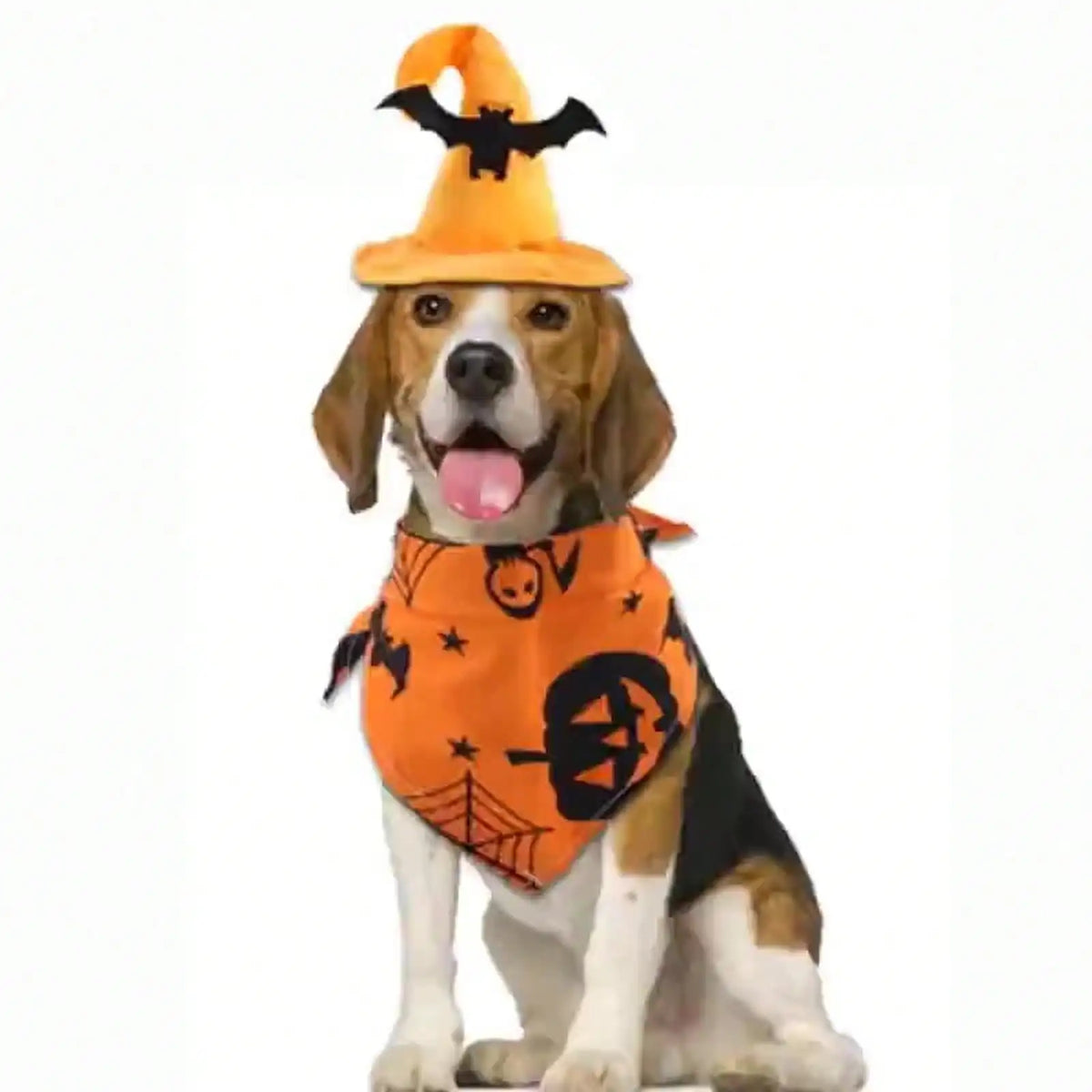 Halloween Pet Witch Hat Bandana Set For Dogs And Cats񎟉