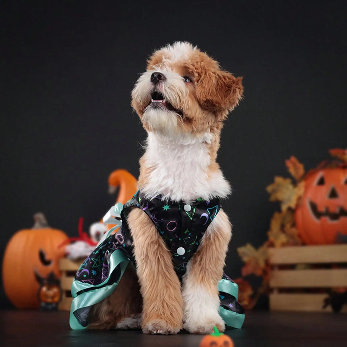 Halloween Dog Dress With Pumpkin And Skull Prints And Bowknot
