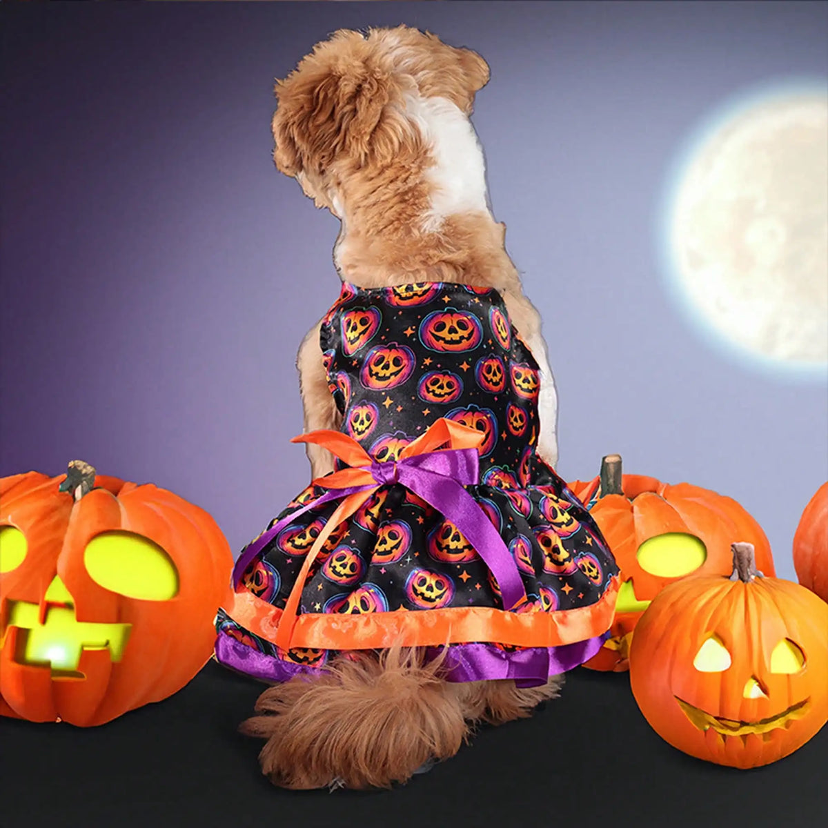 Pet Dog Halloween Pumpkin Skull Print Bowknot Dress