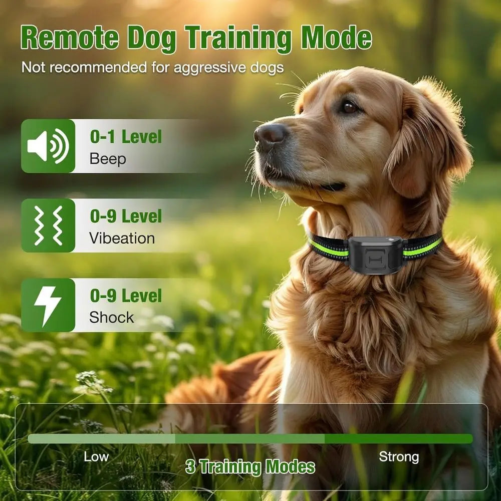 2.4Ghz Wireless Dog Fence System With Waterproof Rechargeable Training Collar