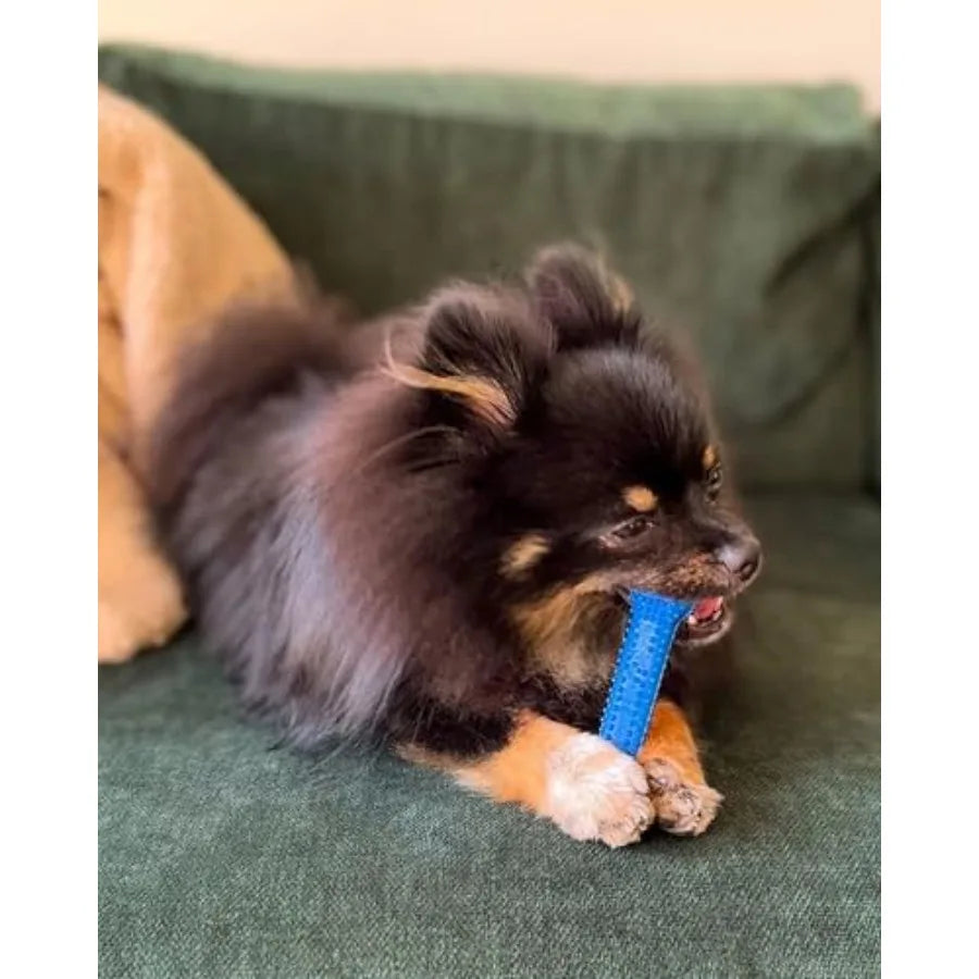 Textured Dental Bone Flexi Chew Toy For Dogs Chicken Flavor