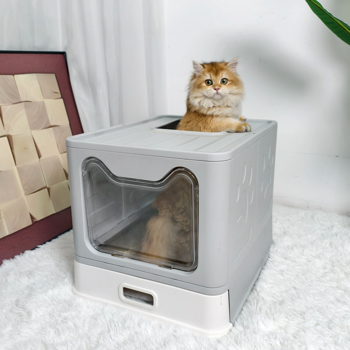 Enclosed Cat Litter Box With Front Entry And Top Exit