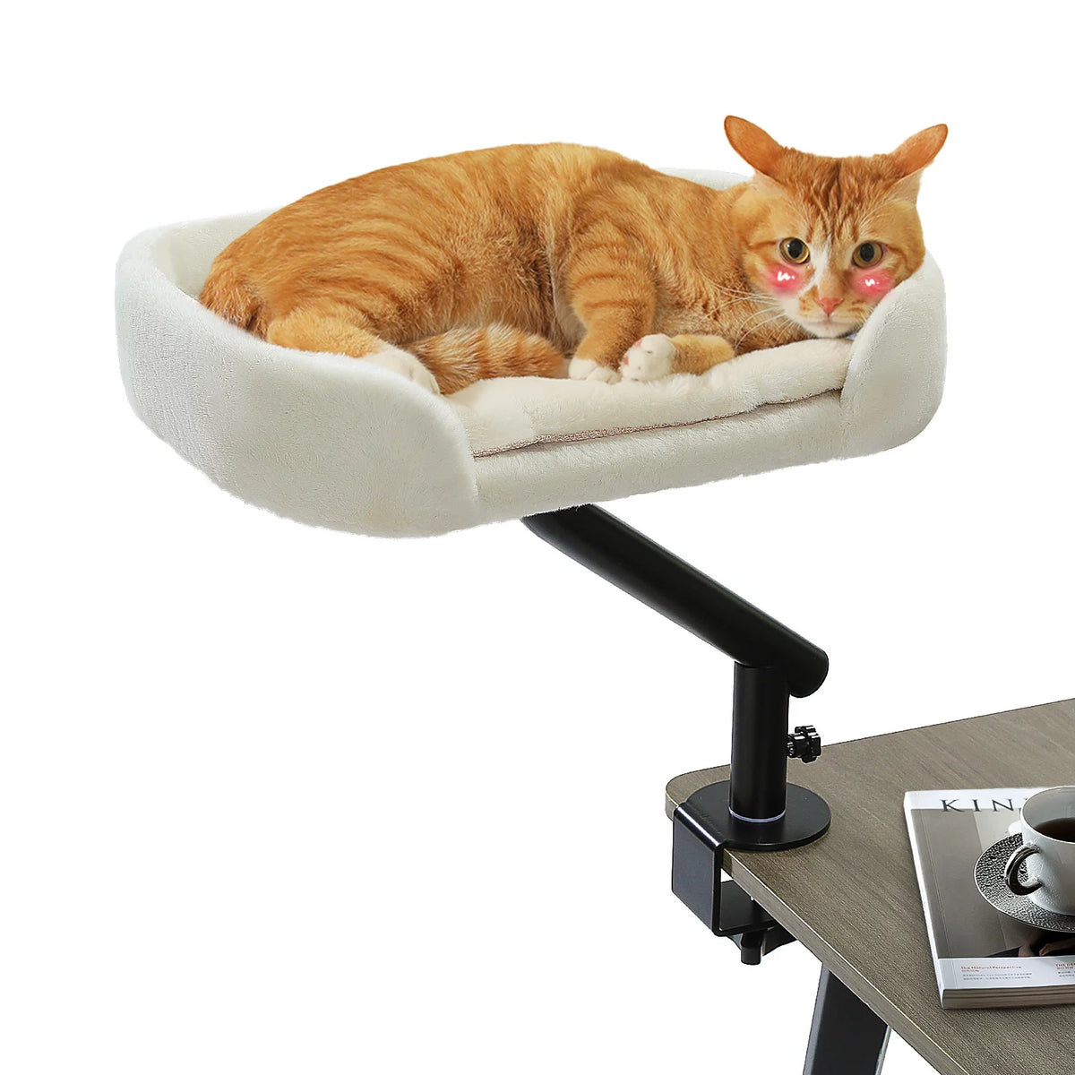 PAWZ Road Cat Desk Bed With 360 Rotatable Stand For Indoor Cats
