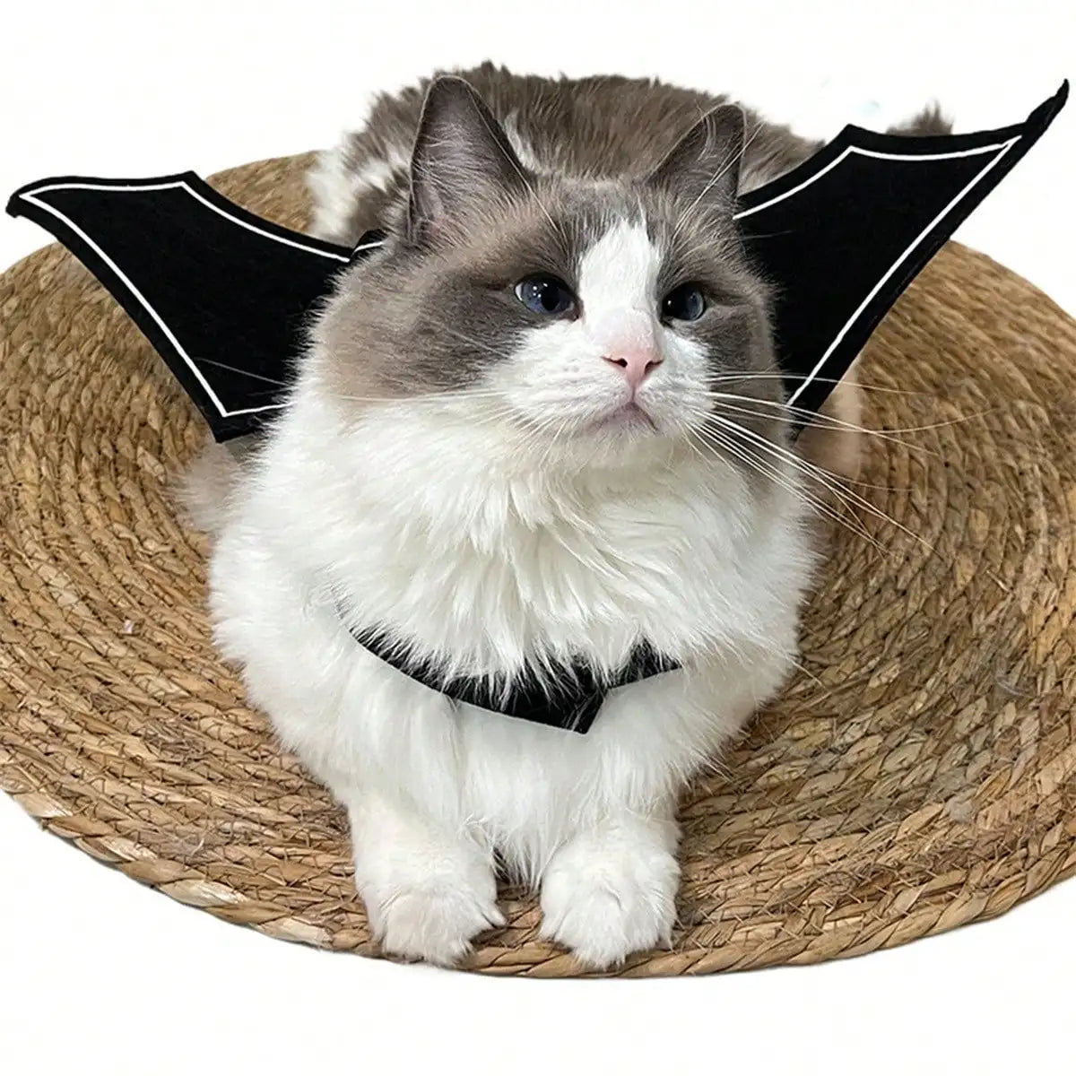 Halloween Bat Wings Pet Costume for Cats and Dogs Party Accessory