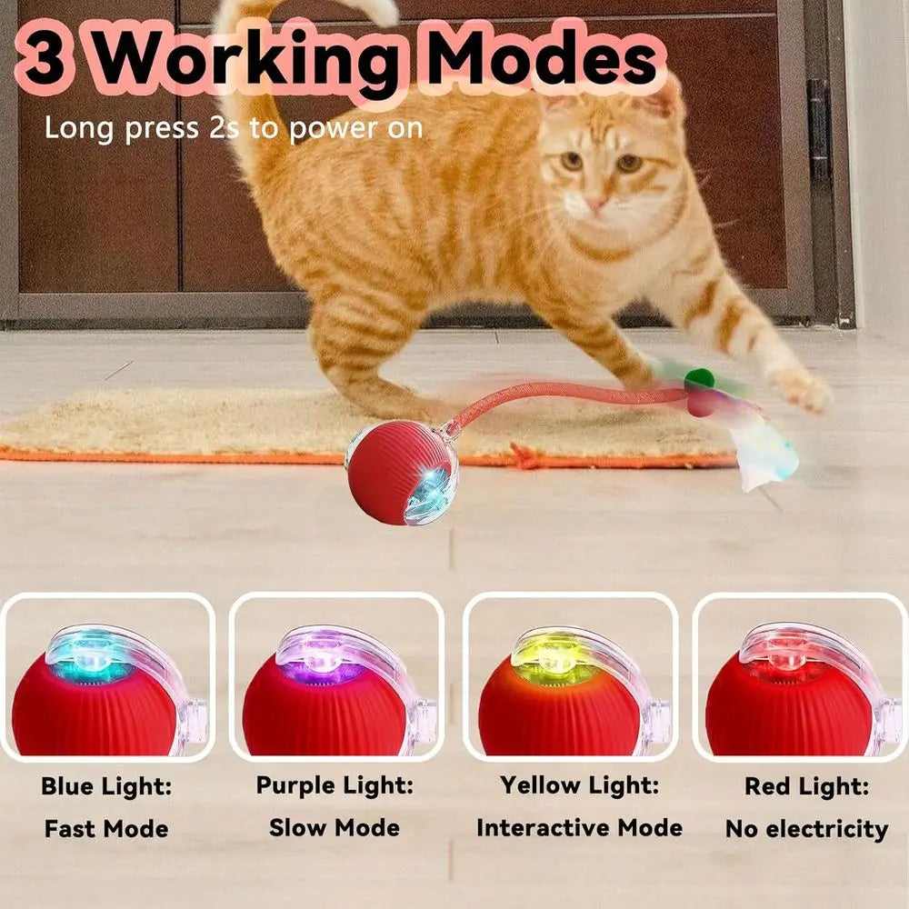 Automatic Interactive Cat Toy With Elastic Mesh Rolling Ball