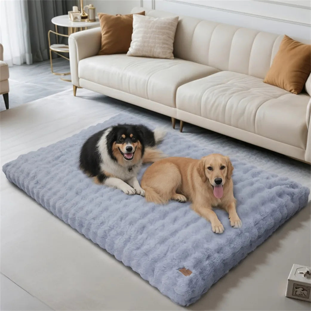 BORWART Ultra Plush Washable Dog Bed With Removable Soft Cover