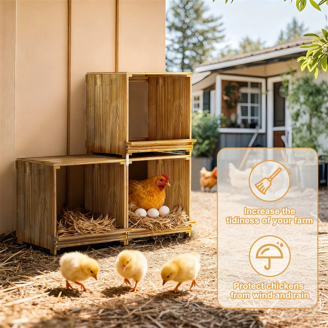 Bingopaw 3 Compartment Pine Wood Chicken Nesting Box
