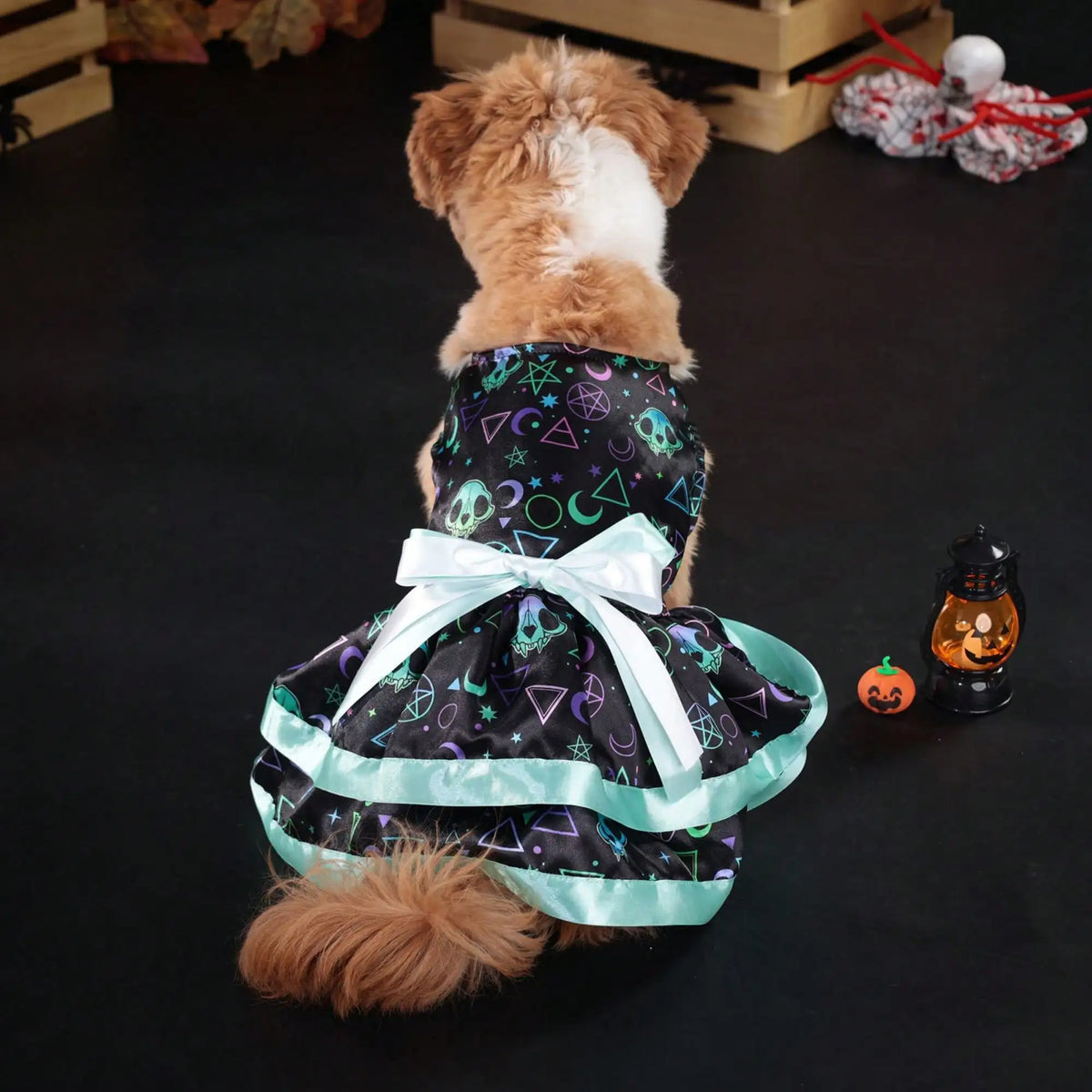 Halloween Dog Dress With Pumpkin And Skull Prints And Bowknot