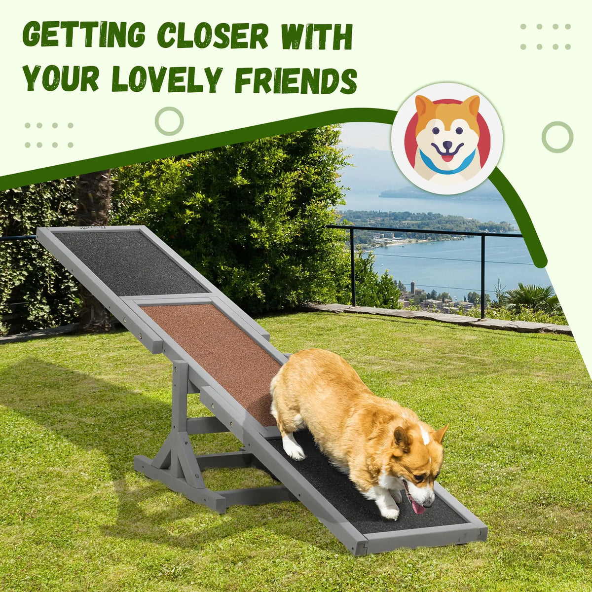 Premium Wooden Dog Agility Seesaw For Engaging Outdoor Activity