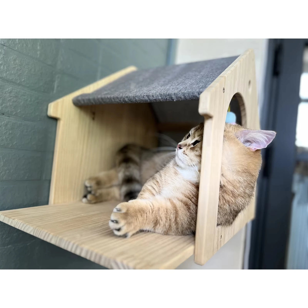 Wood Wall Mounted Cat Condo Villa Climbing Shelf For Cats