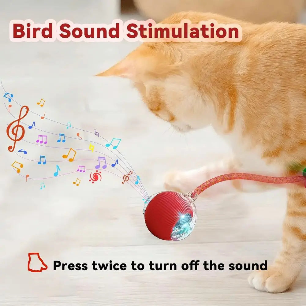 Automatic Interactive Cat Toy With Elastic Mesh Rolling Ball