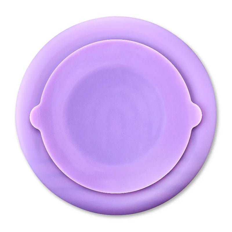 Silicone Slow Feeder Bowl For Pets Encourages Healthy Mealtime