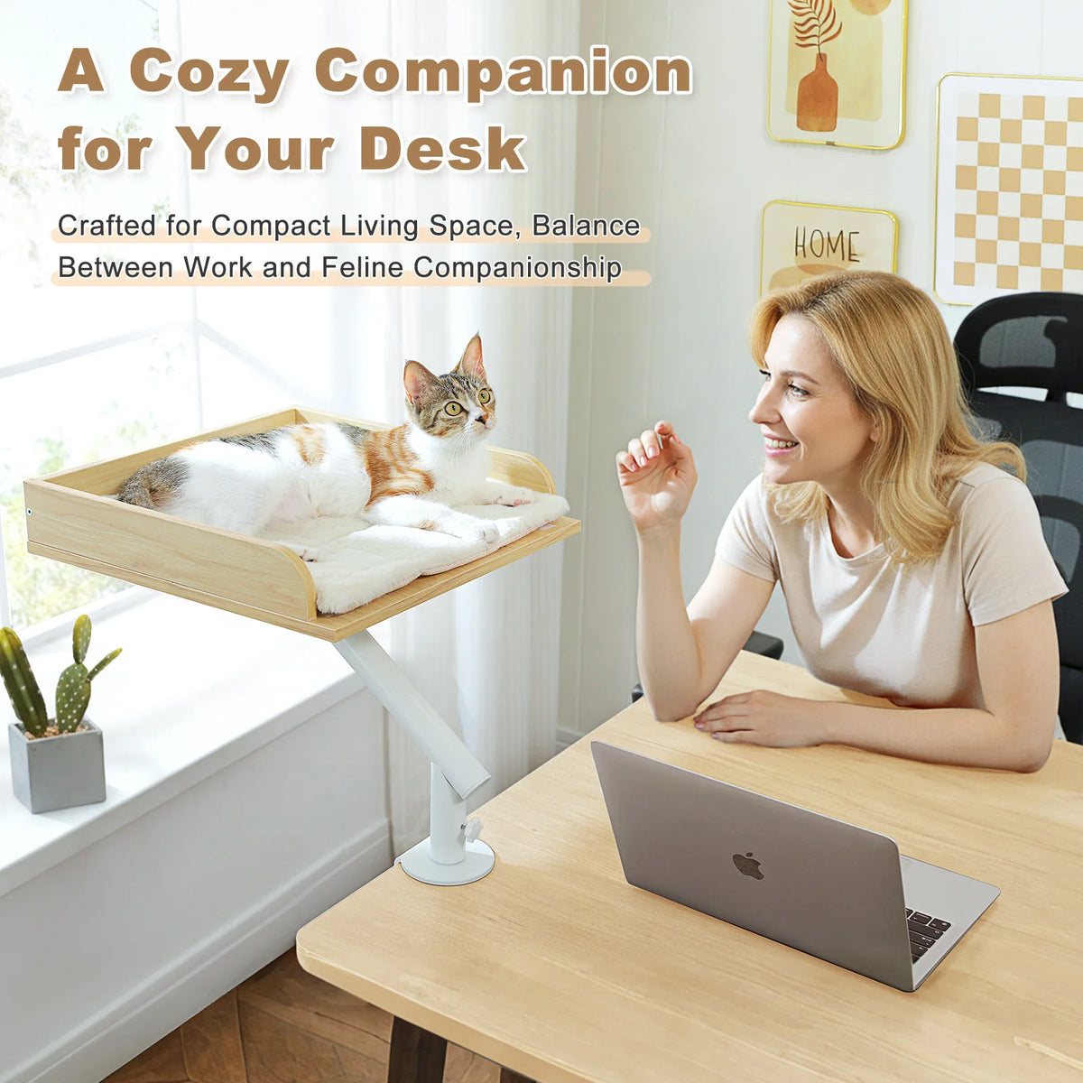 PAWZ Road Cat Desk Bed With 360 Rotatable Stand For Indoor Cats