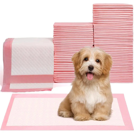 Disposable Puppy Training Pads, Ultra Absorbent Leak Proof